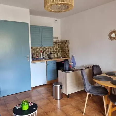Studio Cabine. Terrasse Le Lavandou Buitenkant foto